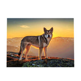 Maxbell DIY Diamond Painting Embroidery Paint By Number Kits Animal
