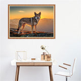 Maxbell DIY Diamond Painting Embroidery Paint By Number Kits Animal