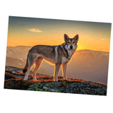 Maxbell DIY Diamond Painting Embroidery Paint By Number Kits Animal