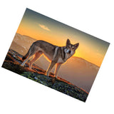 Maxbell DIY Diamond Painting Embroidery Paint By Number Kits Animal