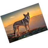 Maxbell DIY Diamond Painting Embroidery Paint By Number Kits Animal