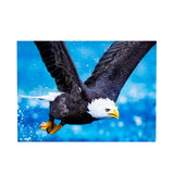 Maxbell DIY Diamond Painting Embroidery Paint By Number Kits Eagle