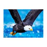 Maxbell DIY Diamond Painting Embroidery Paint By Number Kits Eagle