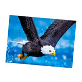 Maxbell DIY Diamond Painting Embroidery Paint By Number Kits Eagle