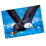 Maxbell DIY Diamond Painting Embroidery Paint By Number Kits Eagle