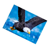 Maxbell DIY Diamond Painting Embroidery Paint By Number Kits Eagle
