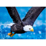 Maxbell DIY Diamond Painting Embroidery Paint By Number Kits Eagle