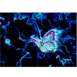 Maxbell DIY Diamond Painting Embroidery Paint By Number Kits Butterfly