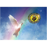 Maxbell 1set Crystal/Rhinestone/Diamond Painting Picture with Kit Pigeon