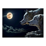 Maxbell 1set Crystal/Rhinestone/Diamond Painting Picture with Kit Wolf
