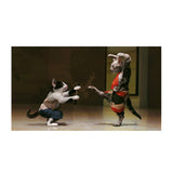 Maxbell 5D DIY Diamond Painting Animal Embroidery Cross Craft Stitch Cat