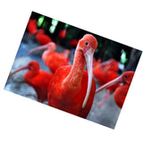 Maxbell DIY 5D Diamond Embroidery Painting Cross Stitch Art Kit Home Decor Flamingos