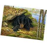 Maxbell DIY 5D Diamond Embroidery Painting Cross Stitch Art Kit Home Decor Bear