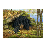 Maxbell DIY 5D Diamond Embroidery Painting Cross Stitch Art Kit Home Decor Bear