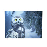 Maxbell DIY 5D Diamond Embroidery Painting Cross Stitch Art Kit Home Decor Owl