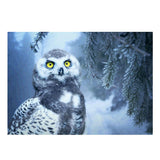 Maxbell DIY 5D Diamond Embroidery Painting Cross Stitch Art Kit Home Decor Owl