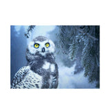 Maxbell DIY 5D Diamond Embroidery Painting Cross Stitch Art Kit Home Decor Owl