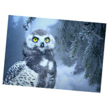 Maxbell DIY 5D Diamond Embroidery Painting Cross Stitch Art Kit Home Decor Owl