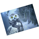 Maxbell DIY 5D Diamond Embroidery Painting Cross Stitch Art Kit Home Decor Owl