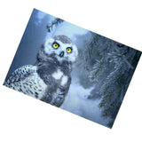 Maxbell DIY 5D Diamond Embroidery Painting Cross Stitch Art Kit Home Decor Owl