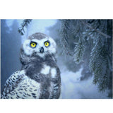 Maxbell DIY 5D Diamond Embroidery Painting Cross Stitch Art Kit Home Decor Owl