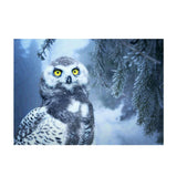 Maxbell DIY 5D Diamond Embroidery Painting Cross Stitch Art Kit Home Decor Owl
