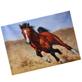 Maxbell DIY 5D Diamond Embroidery Painting Cross Stitch Art Kit Home Decor Horse