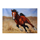 Maxbell DIY 5D Diamond Embroidery Painting Cross Stitch Art Kit Home Decor Horse