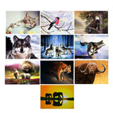 Maxbell DIY 5D Diamond Painting Embroidery Cross Stitch Kit 40x30cm Bear