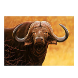 Maxbell DIY 5D Diamond Painting Embroidery Cross Stitch Kit 40x30cm Yak