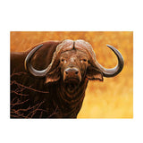 Maxbell DIY 5D Diamond Painting Embroidery Cross Stitch Kit 40x30cm Yak
