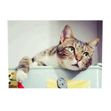 Maxbell DIY 5D Diamond Painting Embroidery Cross Stitch Kit 40x30cm Cat