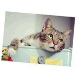 Maxbell DIY 5D Diamond Painting Embroidery Cross Stitch Kit 40x30cm Cat