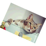 Maxbell DIY 5D Diamond Painting Embroidery Cross Stitch Kit 40x30cm Cat