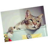 Maxbell DIY 5D Diamond Painting Embroidery Cross Stitch Kit 40x30cm Cat