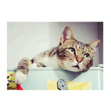 Maxbell DIY 5D Diamond Painting Embroidery Cross Stitch Kit 40x30cm Cat