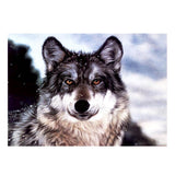 Maxbell DIY 5D Diamond Painting Embroidery Cross Stitch Kit 40x30cm Wild Wolf