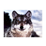 Maxbell DIY 5D Diamond Painting Embroidery Cross Stitch Kit 40x30cm Wild Wolf