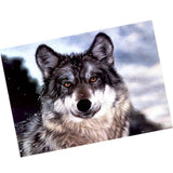 Maxbell DIY 5D Diamond Painting Embroidery Cross Stitch Kit 40x30cm Wild Wolf