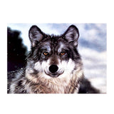 Maxbell DIY 5D Diamond Painting Embroidery Cross Stitch Kit 40x30cm Wild Wolf