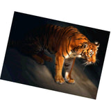 Maxbell DIY 5D Diamond Painting Embroidery Cross Stitch Kit 40x30cm Tiger