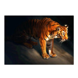 Maxbell DIY 5D Diamond Painting Embroidery Cross Stitch Kit 40x30cm Tiger