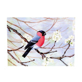 Maxbell DIY 5D Diamond Painting Embroidery Cross Stitch Kit 40x30cm Bird