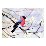 Maxbell DIY 5D Diamond Painting Embroidery Cross Stitch Kit 40x30cm Bird