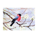 Maxbell DIY 5D Diamond Painting Embroidery Cross Stitch Kit 40x30cm Bird