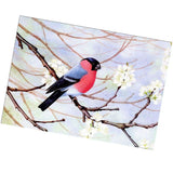 Maxbell DIY 5D Diamond Painting Embroidery Cross Stitch Kit 40x30cm Bird