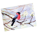Maxbell DIY 5D Diamond Painting Embroidery Cross Stitch Kit 40x30cm Bird