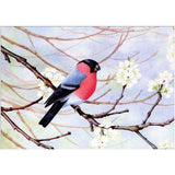 Maxbell DIY 5D Diamond Painting Embroidery Cross Stitch Kit 40x30cm Bird