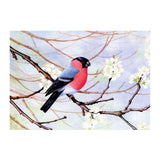 Maxbell DIY 5D Diamond Painting Embroidery Cross Stitch Kit 40x30cm Bird