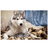 Maxbell 1 Set DIY Diamond Picture with Crystal Painting Kit Hand Craft Dog and Cat